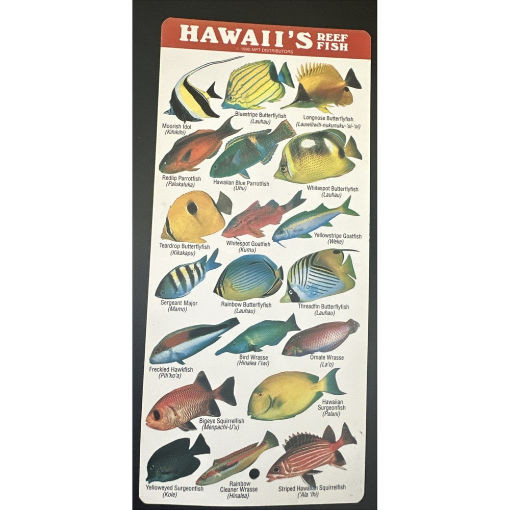 Vintage 1990 Hawaii's Reef Fishwatcher's Field Guide Card MPT Dist. Waterproof